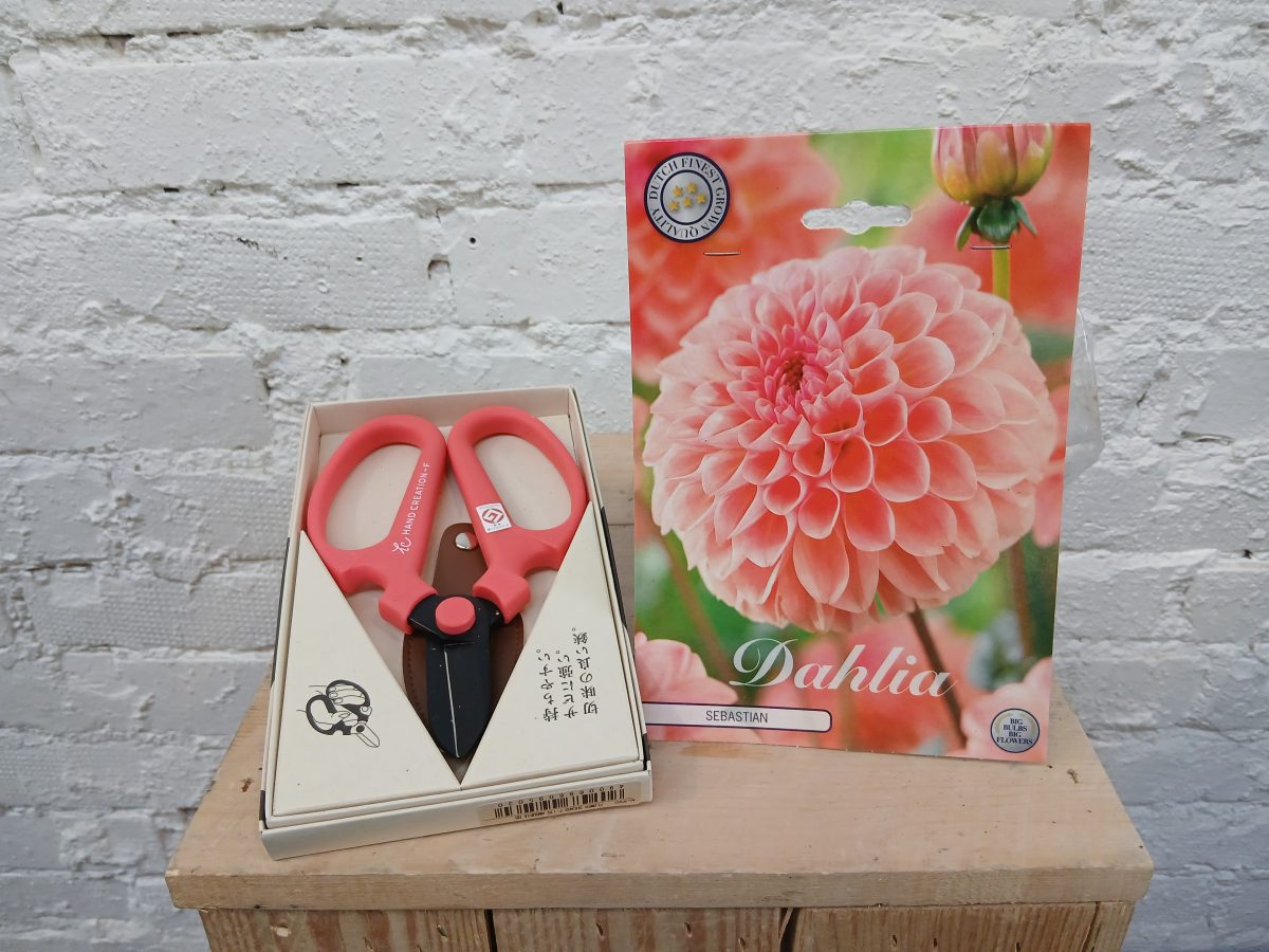 Lahjasetti Daalia ja kukkasakset