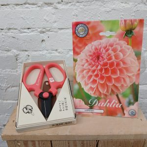 Lahjasetti Daalia ja kukkasakset