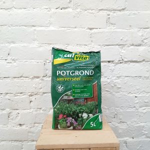 Hollantilainen kukkamulta- sopiva pakkauskoko